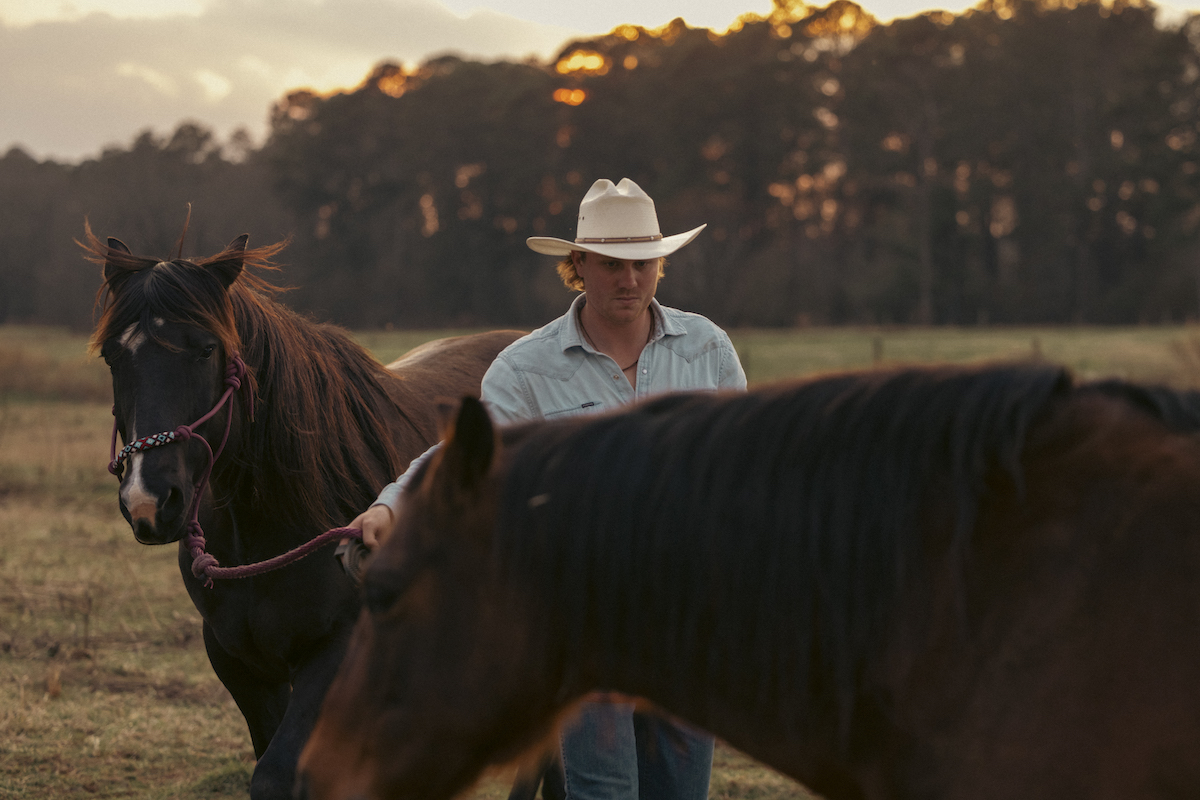 Rancher leading horses to corral at sunset